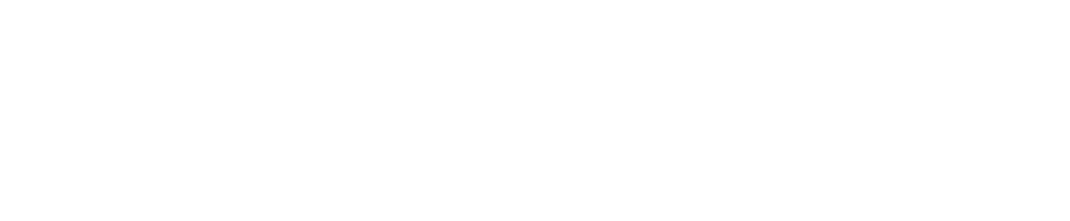 Landytech_Logo_White