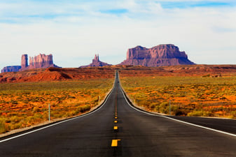 The Road to Professionalisation